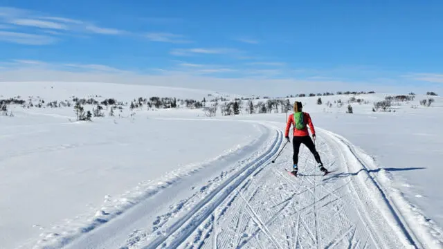 Skidåkare i preparerat spår