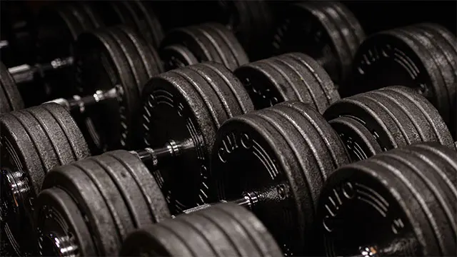 Hantlar i gymmet hos Fjällfysiken