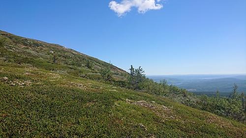O-ringen I Årefjällen 2023